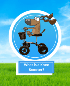 Read more about the article What is a Knee Scooter?