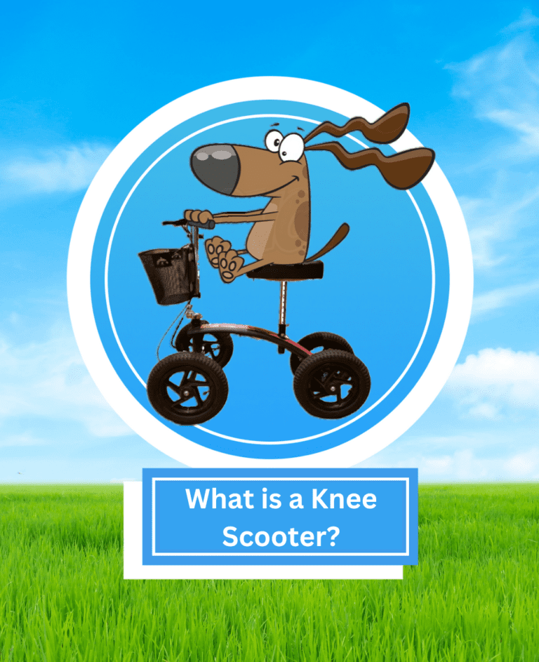 What is a Knee Scooter? Knee Scooter USA Knee Scooter Rentals