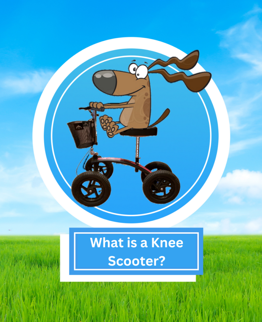 What is a knee scooter, what is a knee walker, what is a knee scooter used for, what is the best knee scooter to buy, what is the best knee scooter, what does a knee scooter look like