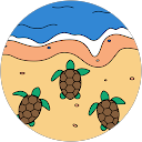 Taylor Ferguson profile picture